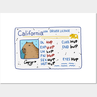 Capybara California Driver License Posters and Art